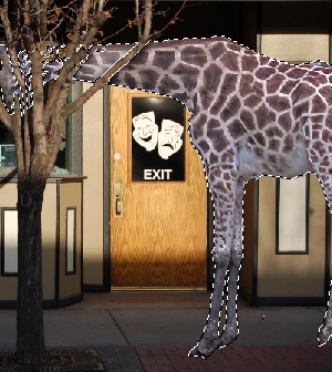 Creation of The Zoo!: Step 1